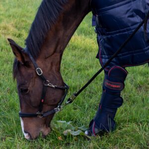Whitaker Leather Headcollar -Ready To Ride