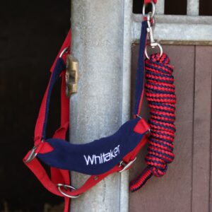 Whitaker HC160 Headcollar & Leadrope -Club