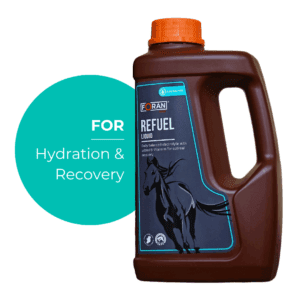Foran Equine Re-Fuel Liquid