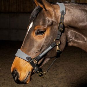 Whitaker HC096 Headcollar -Harewood