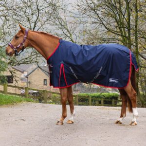 Whitaker 100g Turnout Rug -Rastrick V2