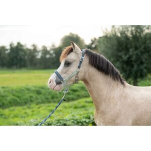 HKM Head Collar -Barnie