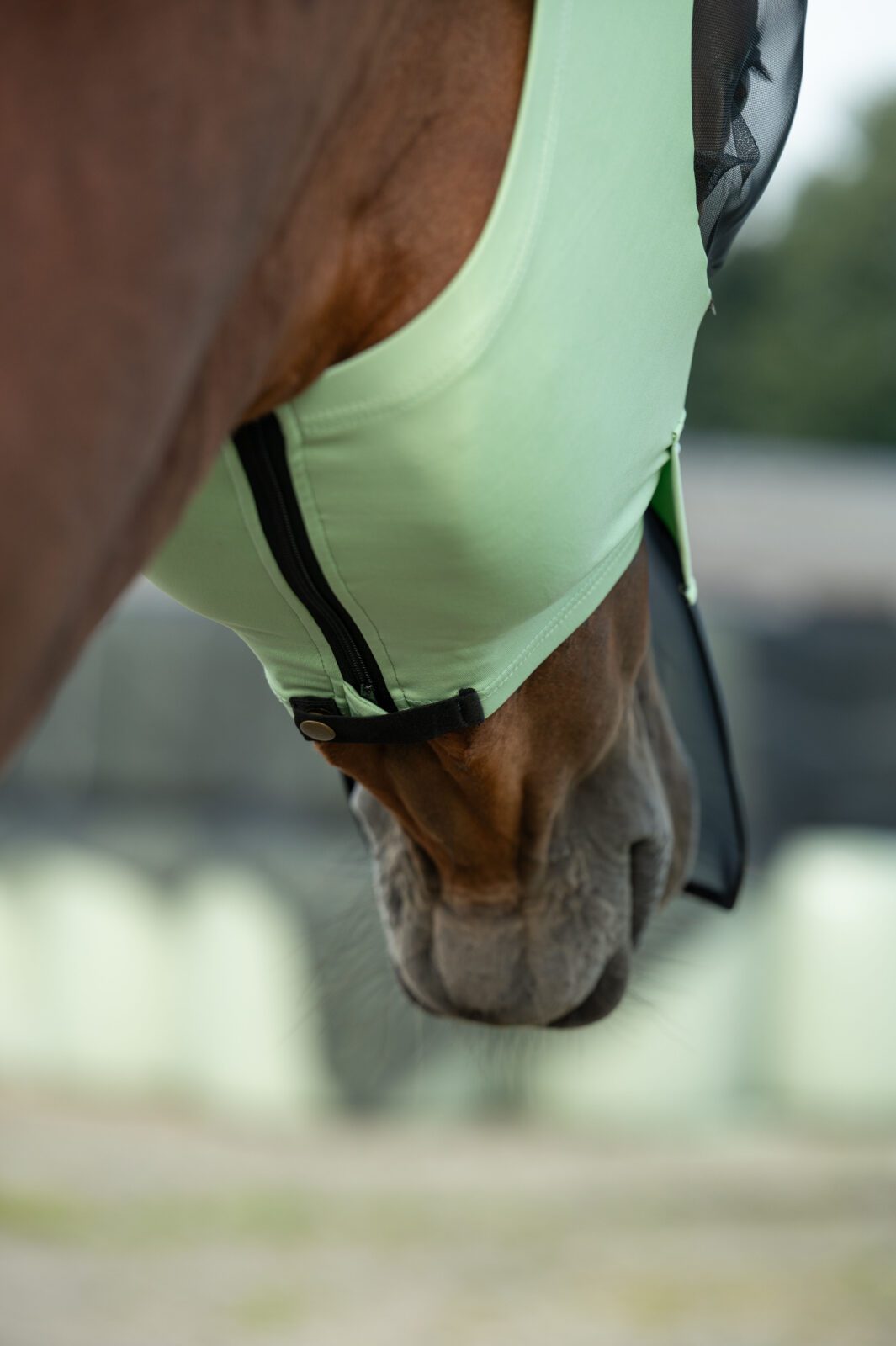 HKM Fly Mask -Elastic - Image 14