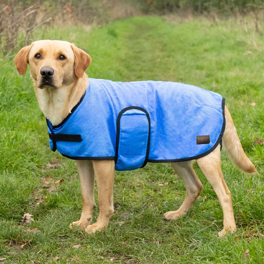 Benji & Flo Cooling Dog Coat