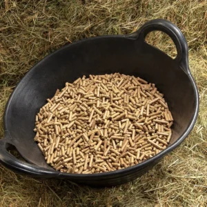 Animal Feed & Supplements