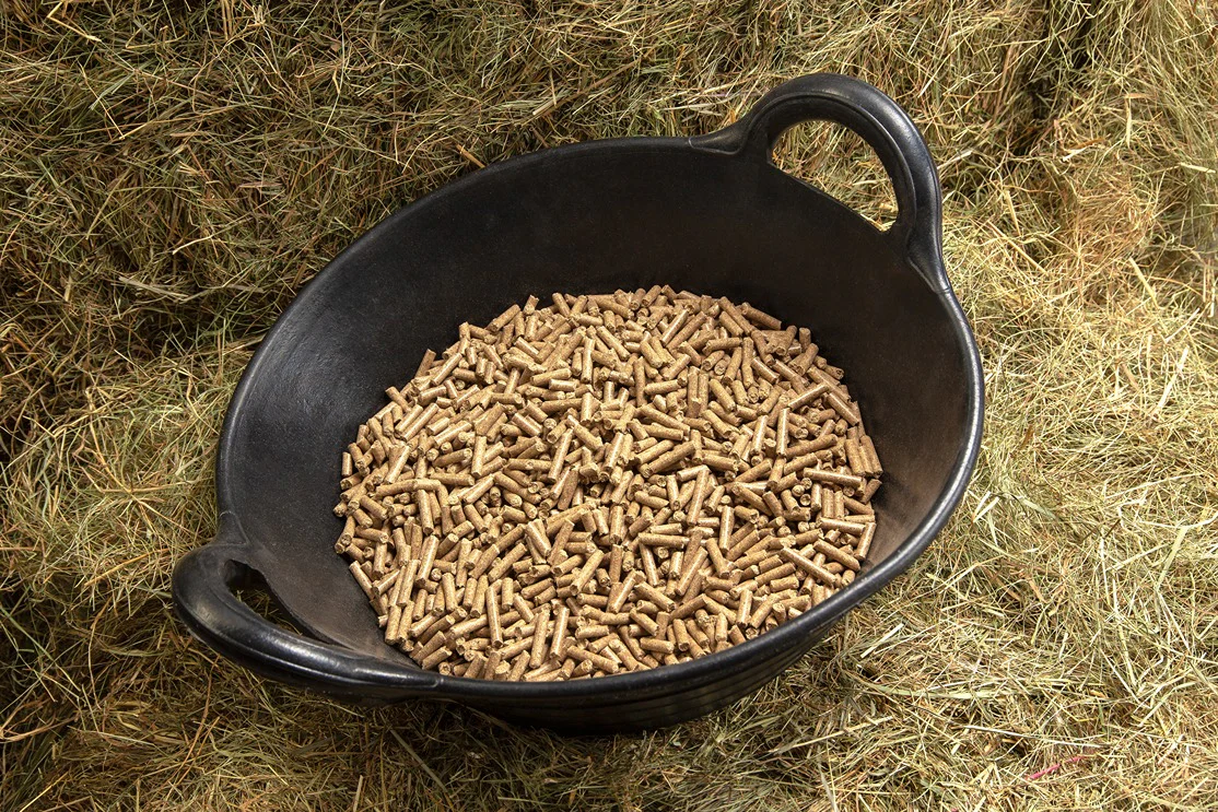 Animal Feed & Supplements