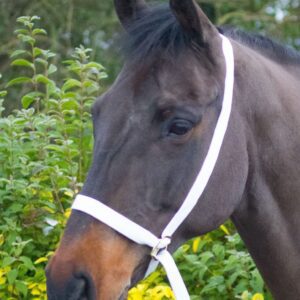 Equi-Senital Adjustable Show Halter
