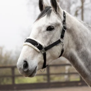 Hy Equestrian Fleece Lined Lunge Cavesson