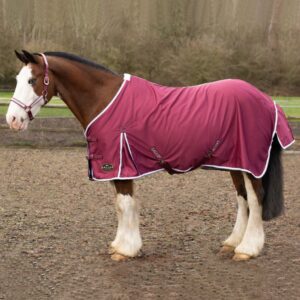 Gallop Summer Sheet
