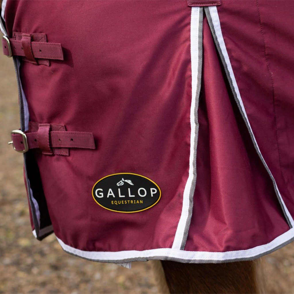 Gallop Summer Sheet