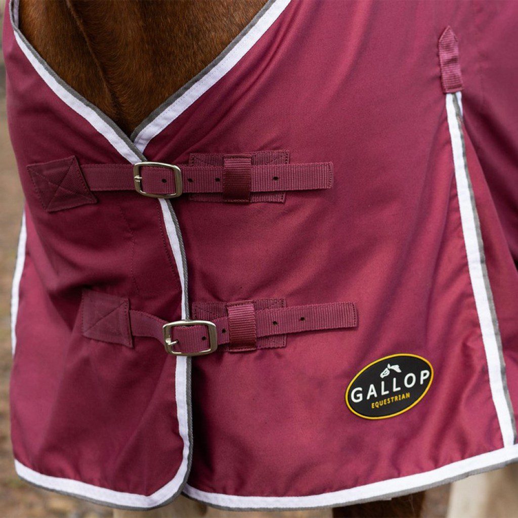 Gallop Summer Sheet
