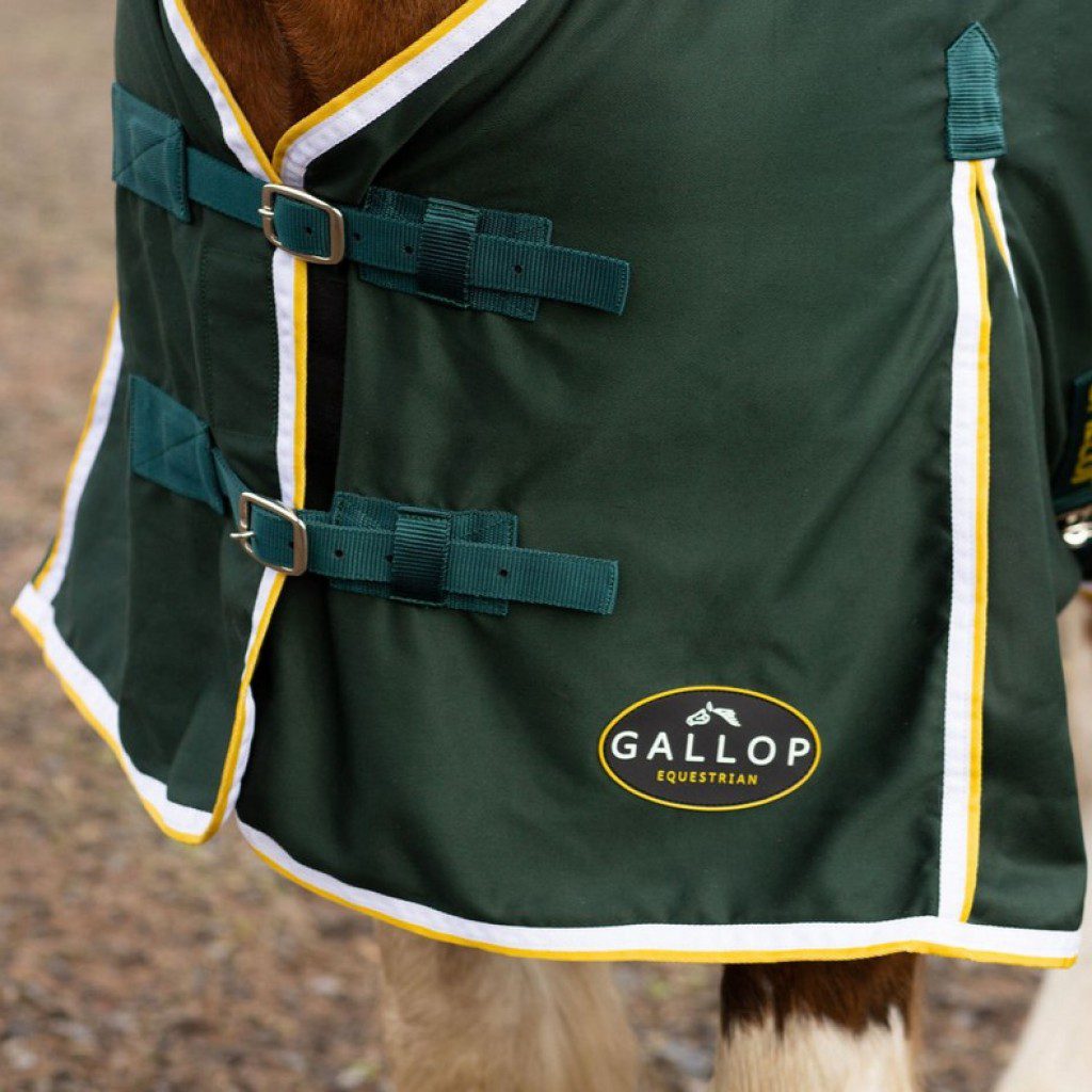 Gallop Summer Sheet
