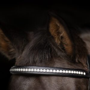 Hy Equestrian Diamante Browband -ProPresicce Signature Classic