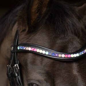Hy Equestrian Curved Diamante Browband -ProPresicce Signature 