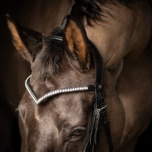 Hy Equestrian V Diamante Browband -ProPresicce Signature 