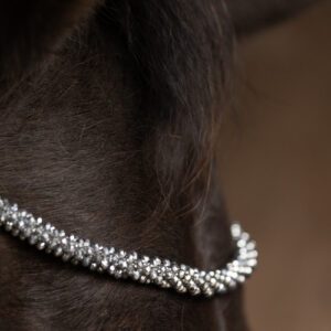 Hy Equestrian Diamante Browband -ProPresicce Signature Crystal