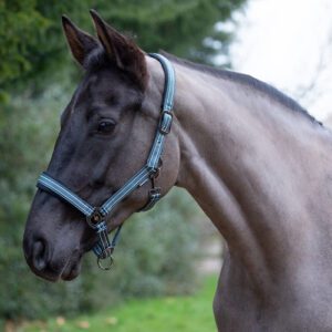 Hy Equestrian Vertiga Head Collar