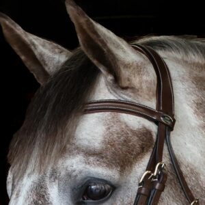 Whitaker BB100 Raised Browband