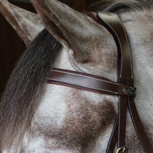 Whitaker BB102 Flat Browband 