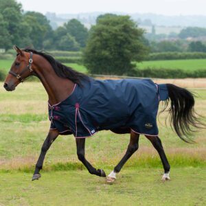 Gallop Trojan Duraproof 50g 5-Point Standard Neck 