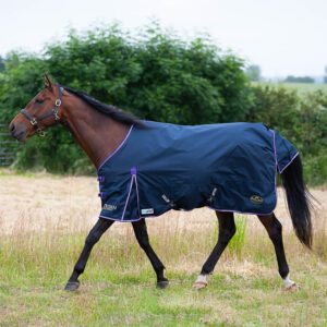 Gallop Trojan Duraproof 5-Point Standard Lightweight Turnout