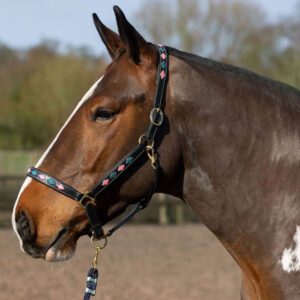 Gallop Diamond Leather Headcollar