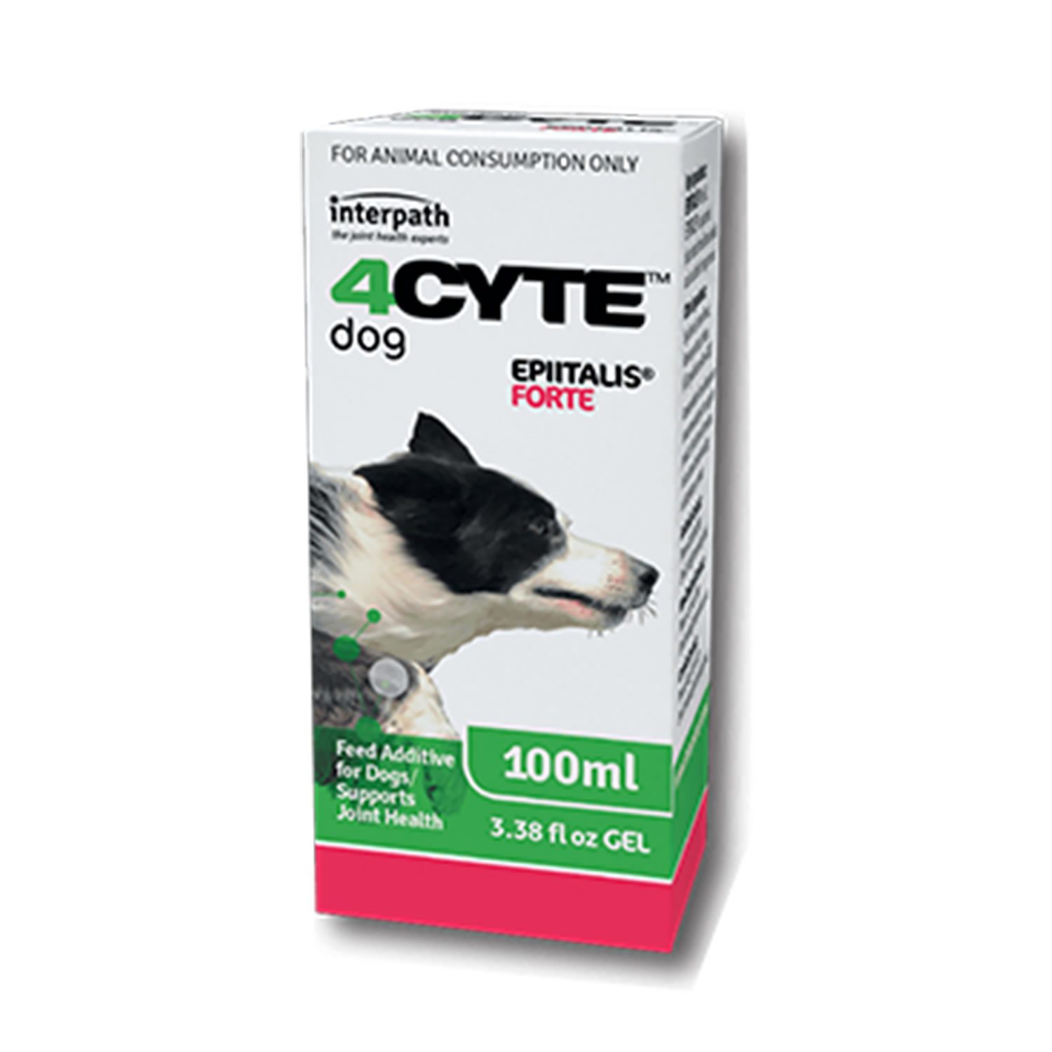Interpath 4CYTE Epiitalis Forte Gel for Dogs