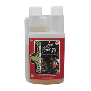 Kevin Bacon's Zen Energy 400ml