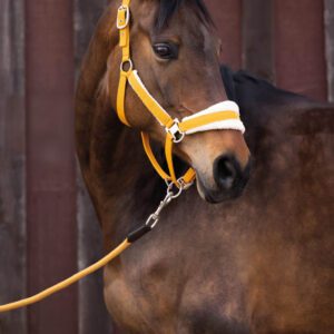 HKM Lead Rope -Arezzo 