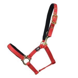 Hy Equestrain Fieldsafe Small Pony & Foal Head Collar