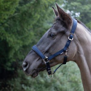 ProReaction Transform Head Collar by Hy Equestrian