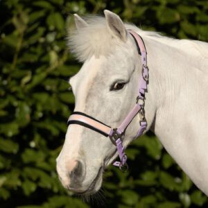 Glimmer Head Collar by HY Equestrian