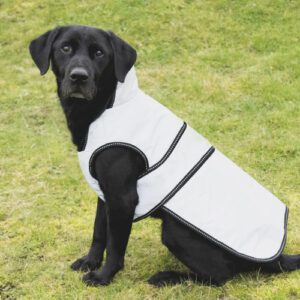 Benji & Flo Silva Reflective Dog Coat