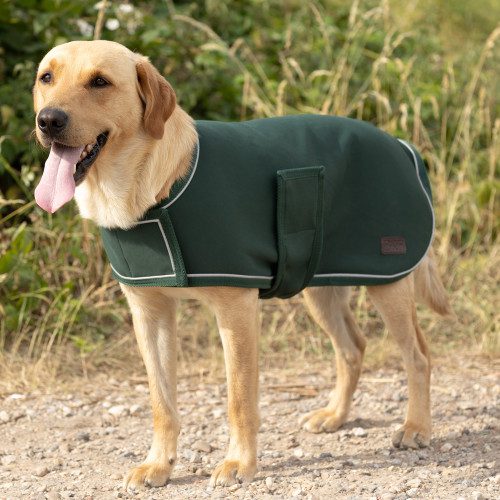 Benji & Flo LuxeSoft Dog Coat - Image 3