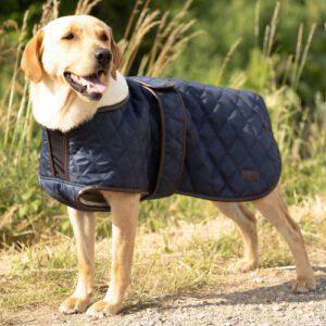 Benji & Flo Luxury Fleece Quilted Dog Coat