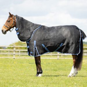 StormX Empra Extra 200g Turnout Rug