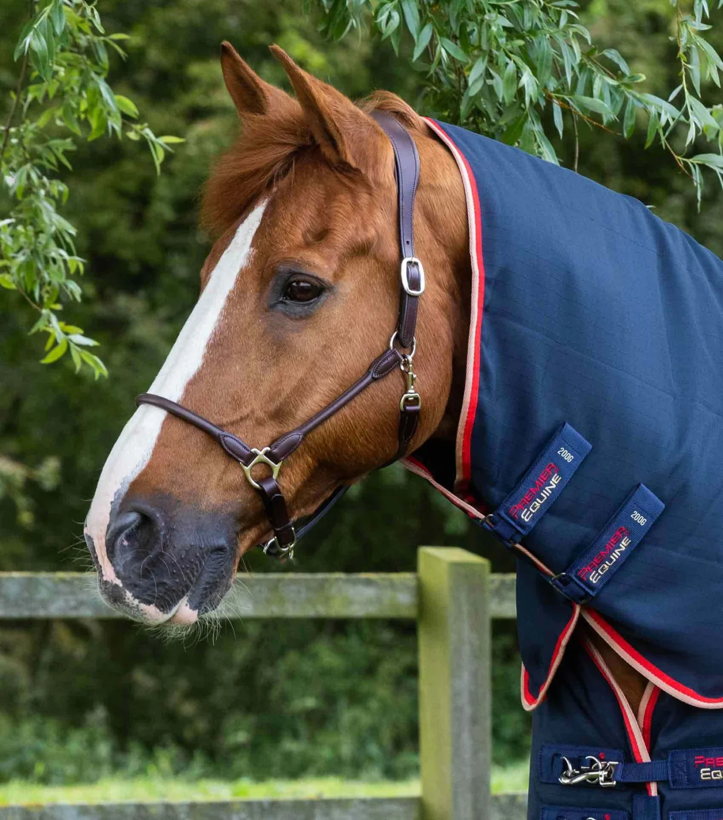 Premier Equine 200g Stable Rug with Neck Cover -Buster - Image 2