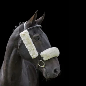 Cameo Equine Lambswool Blinkers -French