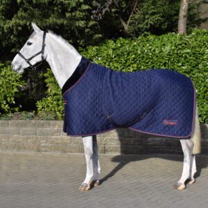 Whitaker R472 100g Cosy Rug -Rastrick V2