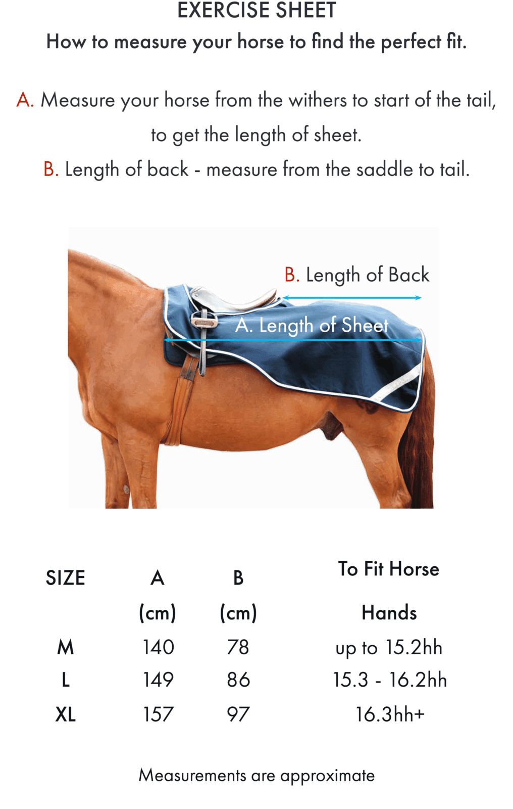 PE exercise sheet size guide