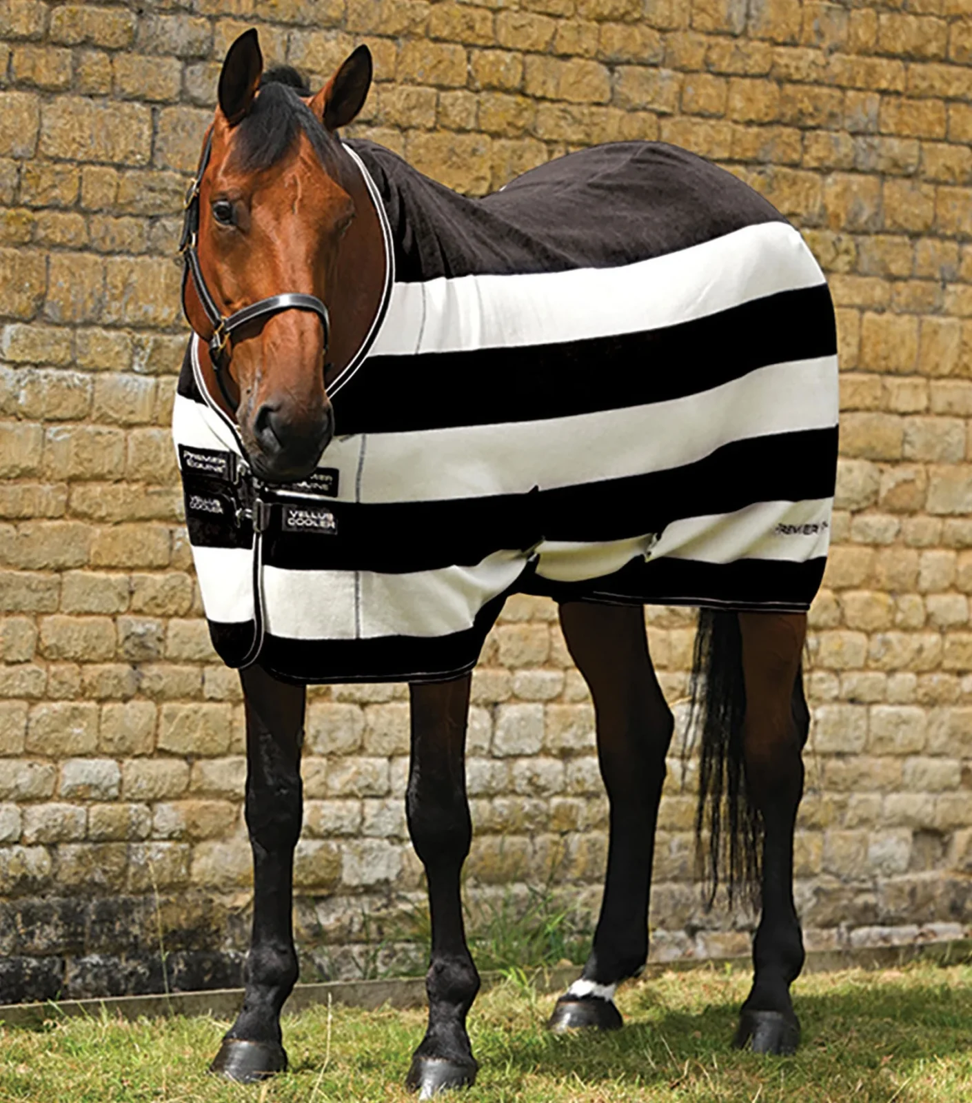 Premier Equine Fleece Rug -Vellus