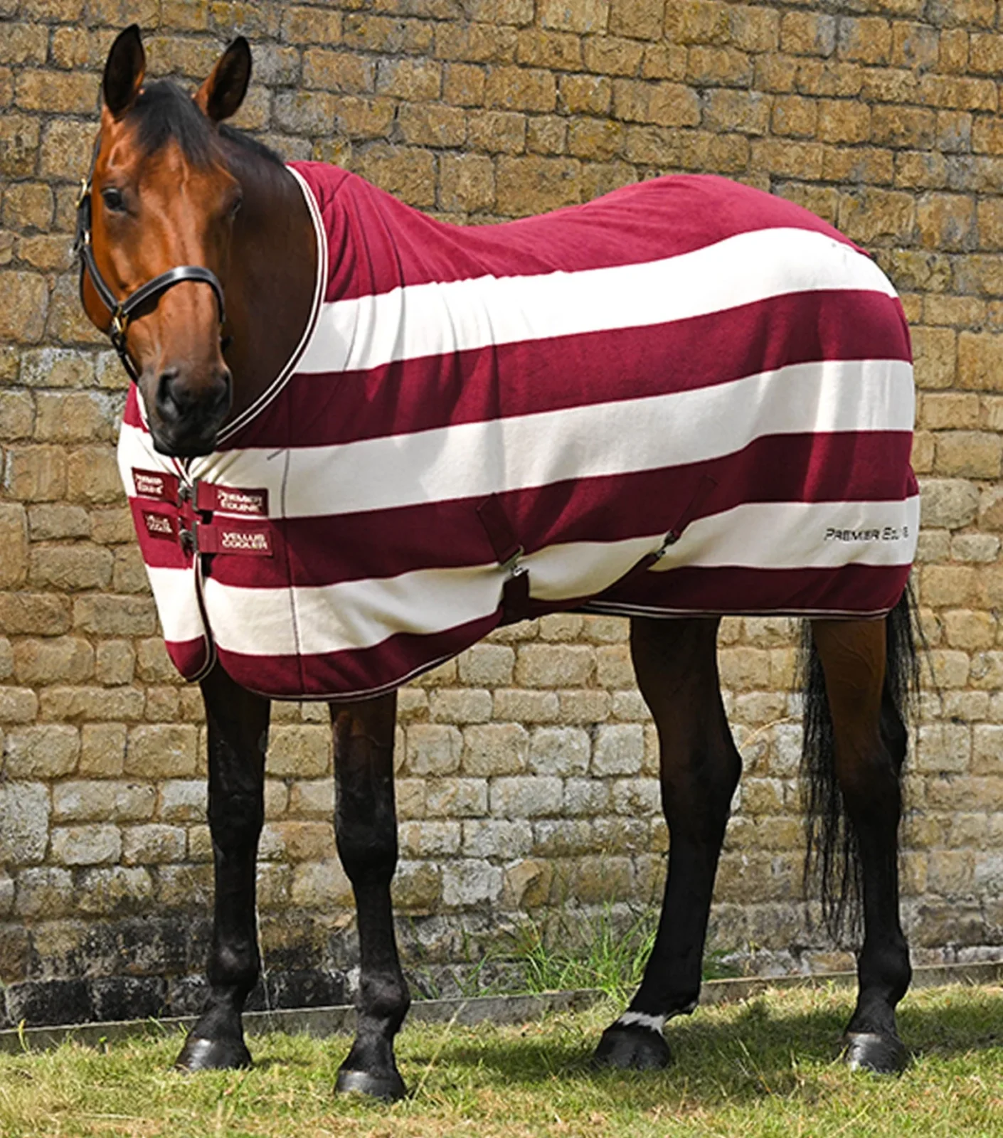 Premier Equine Fleece Rug -Vellus