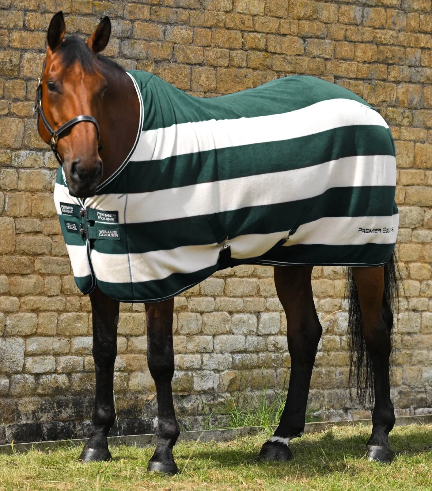 Premier Equine Fleece Rug -Vellus