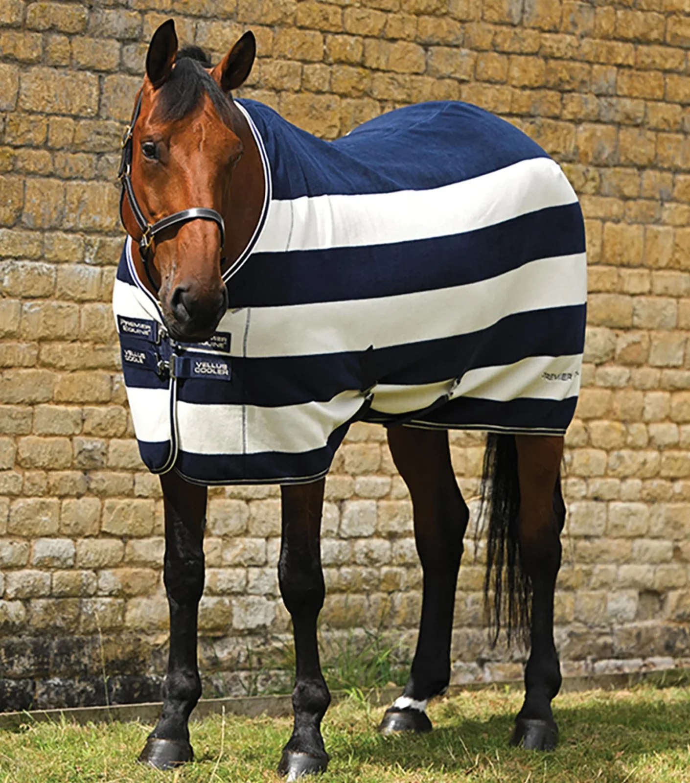 Premier Equine Fleece Rug -Vellus