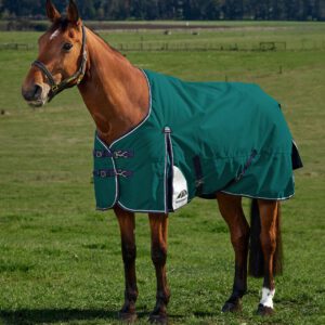 Weatherbeeta 0g ComFiTec Plus Dynamic Turnout 