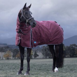 Weatherbeeta 220g Comfitec Essential Detach-A-Neck 