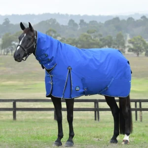 Weatherbeeta 220g Comfitec Essential Combo Turnout