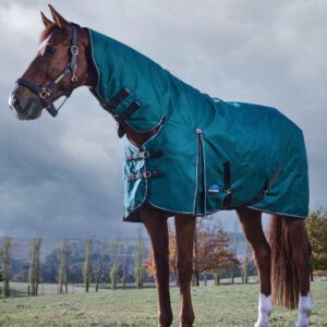 Weatherbeeta 220g Comfitec Classic Combo Turnout