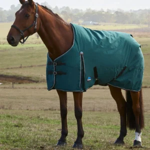 Weatherbeeta 220g ComFiTec Classic Turnout 