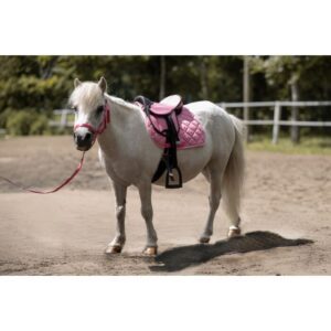 HKM Lucy Shetland Pony Saddle Set 